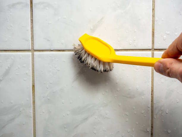 Best Mold Removal Company Near Me  in Fox Crossing, WI
