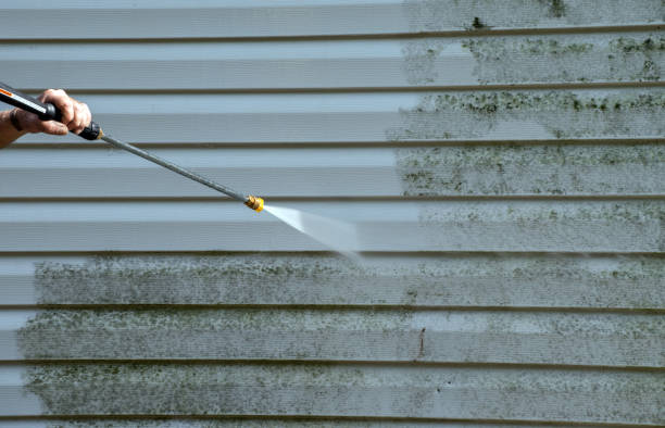 Best Toxic Mold Removal  in Fox Crossing, WI
