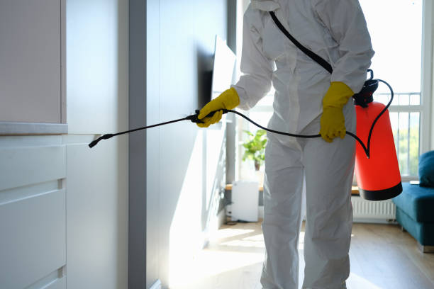 Best Emergency Mold Removal  in Fox Crossing, WI