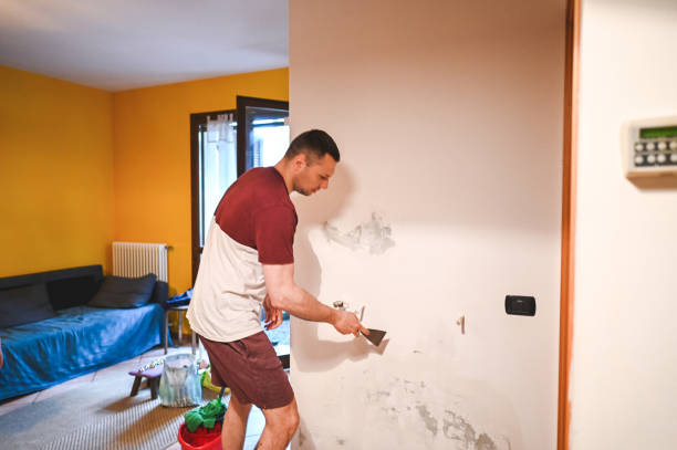 Fox Crossing, WI Mold Removal Company